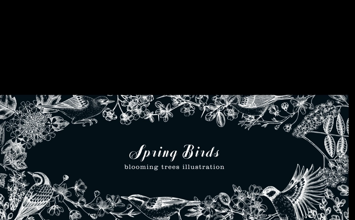 Flowering trees with birds banner. Vintage frame designs with birds, flowers, blooming branches sketches. Hand drawn almond, willow, rowan, willow, cherry blossom isolated on chalkboard